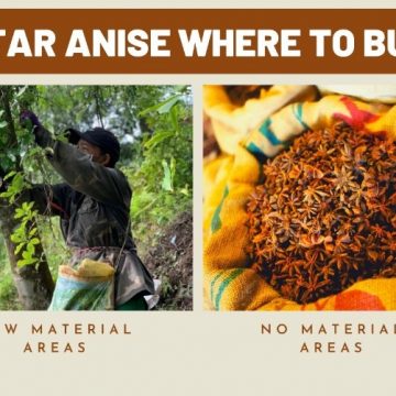 Where To Buy Star Anise With A Reasonable Price
