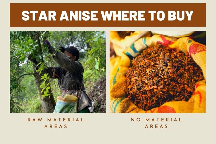 How-to-choose-trustworthy-retailers-to-purchase-star-anise