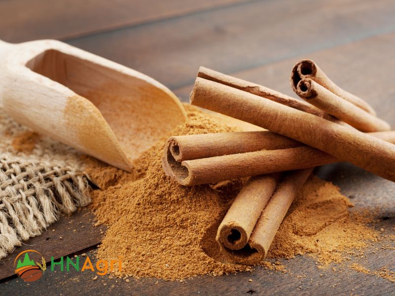 choosing-the-right-vietnam-cinnamon-suppliers-for-wholesale-needs-2