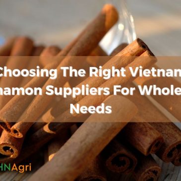 Choosing The Right Vietnam Cinnamon Suppliers For Wholesale Needs