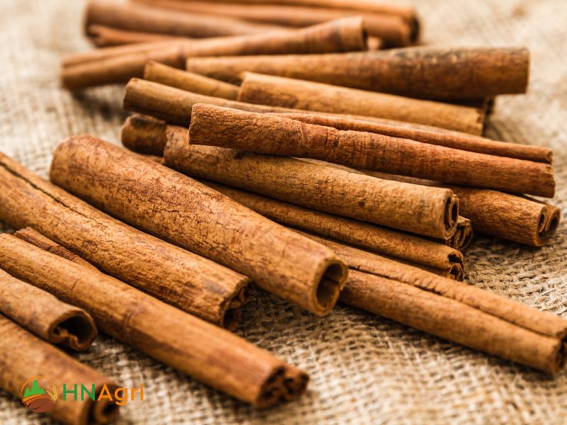 choosing-the-right-vietnam-cinnamon-suppliers-for-wholesale-needs-1
