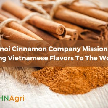Hanoi Cinnamon Company Mission To Bring Vietnamese Flavors To Global