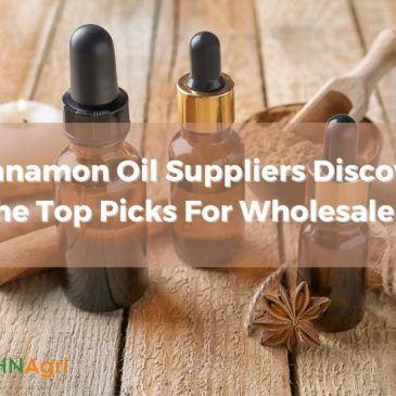 Cinnamon Oil Suppliers Discover The Top Picks For Wholesalers