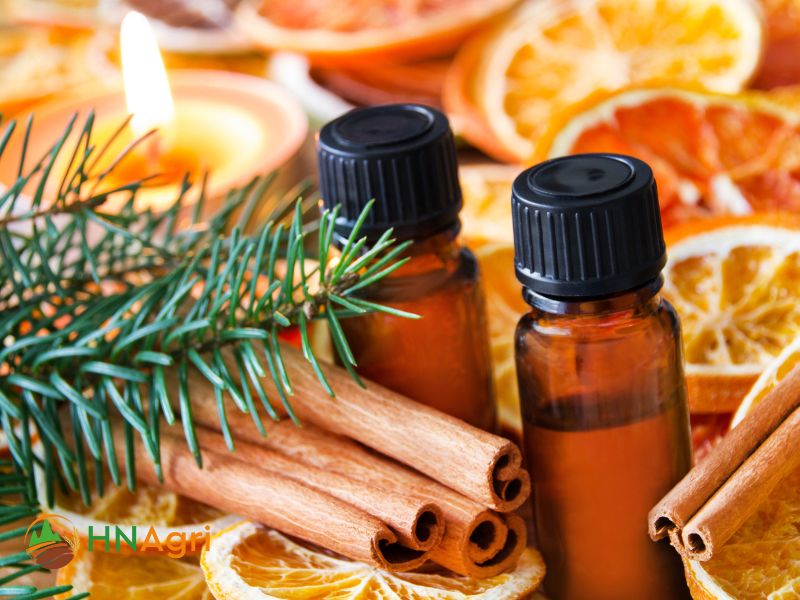cinnamon-oil-suppliers-discover-the-top-picks-for-wholesalers-2