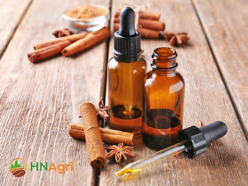 cinnamon-oil-suppliers-discover-the-top-picks-for-wholesalers-3