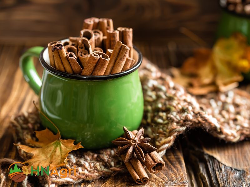 vietnamese-cinnamon-the-wholesalers-secret-to-exquisite-flavor-2