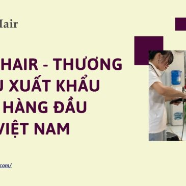 Gla Hair – Thương hiệu xuất khẩu tóc hàng đầu tại Việt Nam