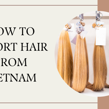 How To Import Hair From Vietnam: Detailed Instructions